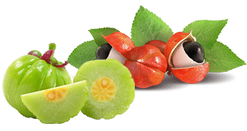 Guarana a Garcinia Cambogia