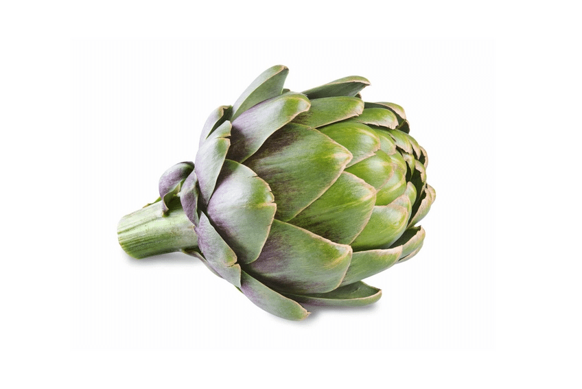 Artichoke Extract