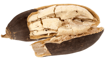 Baobab prášek