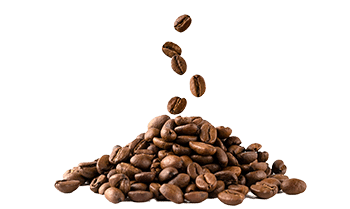 Instantní káva (Coffea arabica L.)