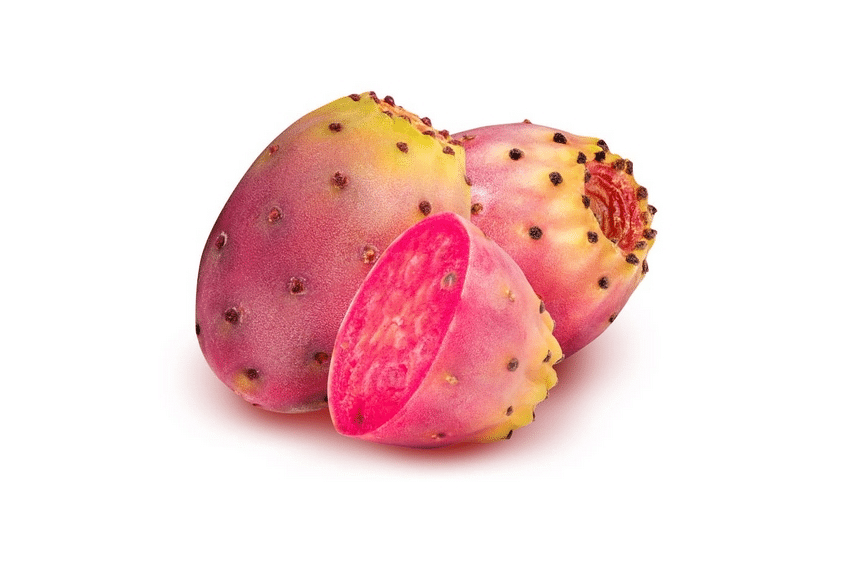 Neopuntia