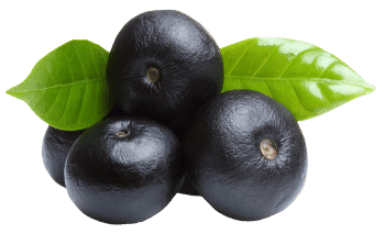 Bobule acai