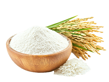 Rýžová mouka (Oryza sativa)