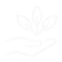 vegan-01.png (2) vegan-01.png (2)